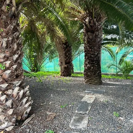 Holiday home Casa Beatriz La Orotava